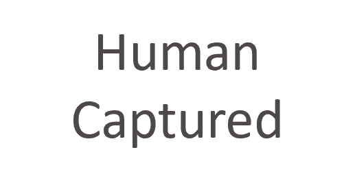 Human